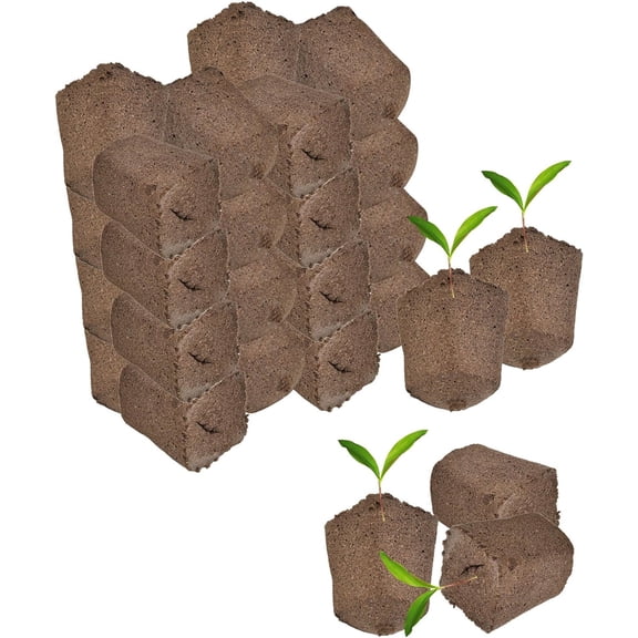 Tutuviw 30 Pack Grow Sponges Replacement Root Growth Sponges Seed Pods PH Balanced Root Growth Sponges Refill Pods with Most Hydroponics Growing System