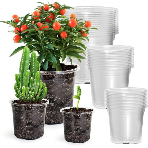 Tutuviw 30Pack Clear Planters for Indoor Plants 4/5/6", Plant Pots with Drainage, Plastic Nursery Pots for Planting, High Transparency Reinforced Plastic Flower Pots Seed Starter Pots