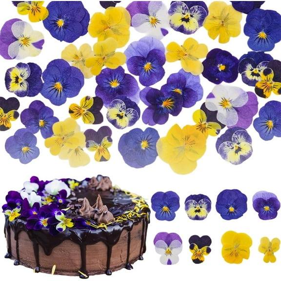 Tutuviw 48 Pcs Natural Dried Pressed Flowers Cake Topper Decorating Mix Viola Tricolor for Cocktails Cupcake Toppers, Resin DIY Art Jewelry Candle & Soap Making (Purple, Flower Style)