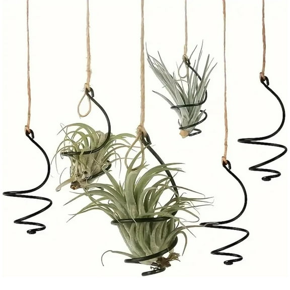 Tutuviw 6 Pcs Air Pineapple Pot Air Plant Hanger Holder,Plant Stands Hanging with Jute Ropes,Modern Plants Hanger Wall Metal Air Plants Stand,Air Plants Hook Air Shelf (Black Aluminum)