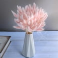 thumbnail image 1 of Tutuviw 60 Pcs 16" Rabbit Tail Grass Dried Flowers Dried Natural Floral Arrangement Bunch Decoration Dried Grass, Eternal Flower Dried Grass for Cake, Christmas, Party (Light Pink), 1 of 7