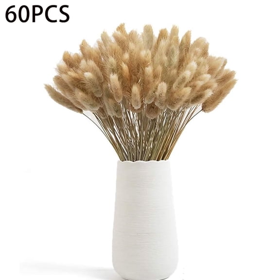 Tutuviw 60 Pcs Bunny Tails Dried Flowers, 16'' Natural Rabbit Tail Grass Lagurus Ovatus Bunch, (Natural) Dried Rabbit Tail Grass for Flower Arrangement, Kitchen & Wedding Decor