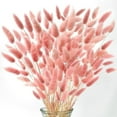 thumbnail image 1 of Tutuviw 60 Pcs Dried Bunny Tail, Pink Bunny Tail Dried Flowers, 16" Natural Bulk Flowers for DIY Wedding, Party, Christmas, Vase Decoration, Wreaths, Cake Decoration, Pink, 1 of 7