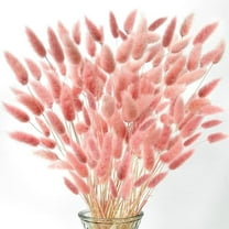Tutuviw 60 Pcs Dried Bunny Tail, Pink Bunny Tail Dried Flowers, 16" Natural Bulk Flowers for DIY Wedding, Party, Christmas, Vase Decoration, Wreaths, Cake Decoration, Pink