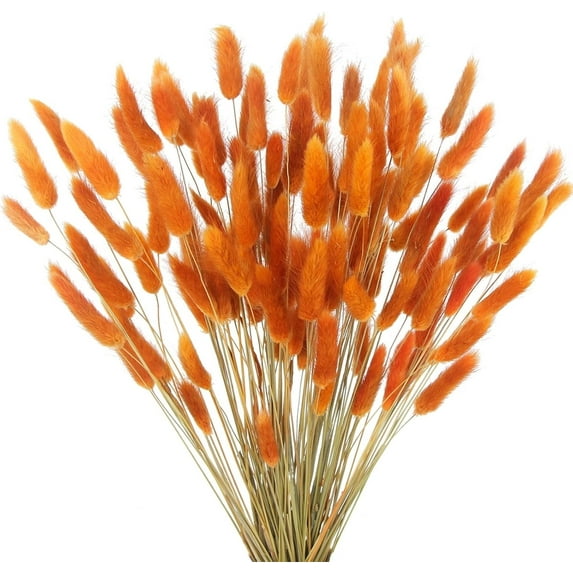Tutuviw 60 Pcs Dried Bunny Tails Flowers, Lagurus Ovatus Tail Dried Flowers Arrangement, Pampas Grass for Fall Decor Autumn Wedding DIY Farmhouse Christmas, Orange