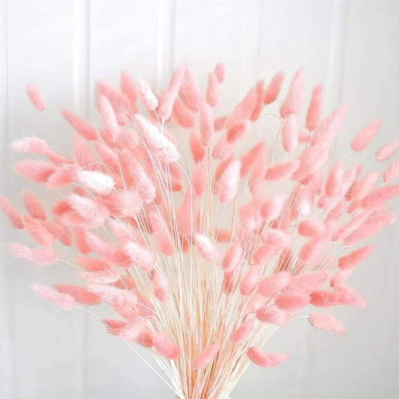 Tutuviw 60 Pcs Dried Bunny Tails Flowers, Lagurus Ovatus Tail Dried Flowers, Grass Natural Dried Floral Arrangement for Fall Decor Autumn Wedding DIY Farmhouse Christmas, Pink