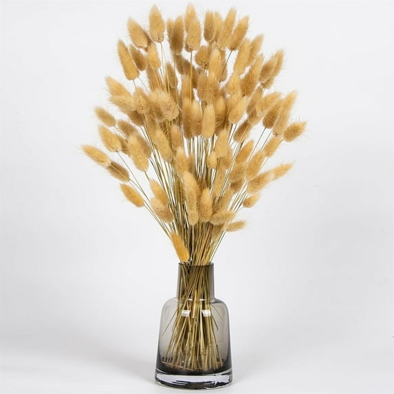 Tutuviw 60 Pcs Mini Dried Bunny Tails Grass, Natural Dried Bouquet DIY Craft Floral Arrangement for Party Wedding Home Kitchen Office Table Christmas Decor (Nature)