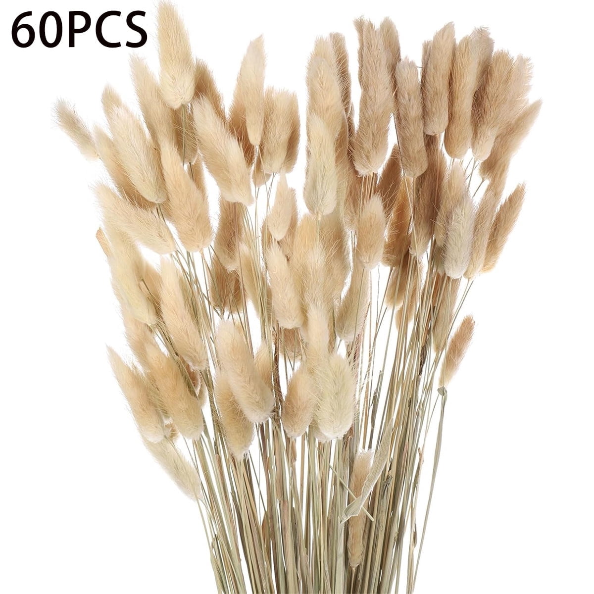 Tutuviw Dried Bunny Tail Flower Natural Rabbit Tail Dried Flower ...