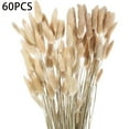 thumbnail image 1 of Tutuviw Dried Bunny Tail Flower Natural Rabbit Tail Dried Flower Bouquet Grass Decor for Home Decor 60 Pcs 40cm/16" Nature Color, Dried Rabbit Tail Grass for Flower Arrangement, 1 of 7