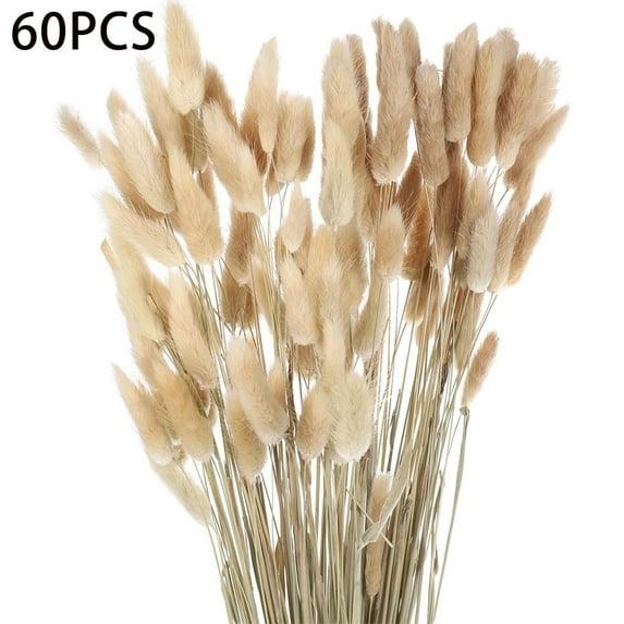 Tutuviw Dried Bunny Tail Flower Natural Rabbit Tail Dried Flower Bouquet Grass Decor for Home Decor 60 Pcs 40cm/16" Nature Color, Dried Rabbit Tail Grass for Flower Arrangement