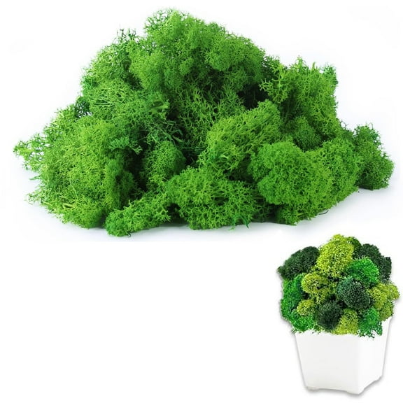 Tutuviw Green Artificial Moss, Fake Moss Decorative, Preserved Moss, Faux Moss Wall Decor, Dried Moss, Household False Moss Turf Decorate for Home Indoor Flower Pot Plant, 3.5OZ