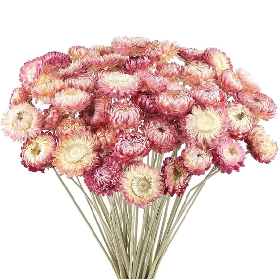 Tutuviw Natural Dried Daisy Flowers,20 Pcs Pink Daisies Sunflowers Chrysanthemums Dried Flower Bouquets,16 in Arrangements for Vase Home Decoration Photo Props Parties Weddings