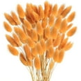 thumbnail image 1 of Tutuviw Orange Bunny Tails Dried Flowers, 16inch Natural Dried Grass, Bunny Tails Dried Flowers for Wedding, Home, Rustic Party, Baby Shower, Christmas Decorations (60 Pcs), 1 of 7