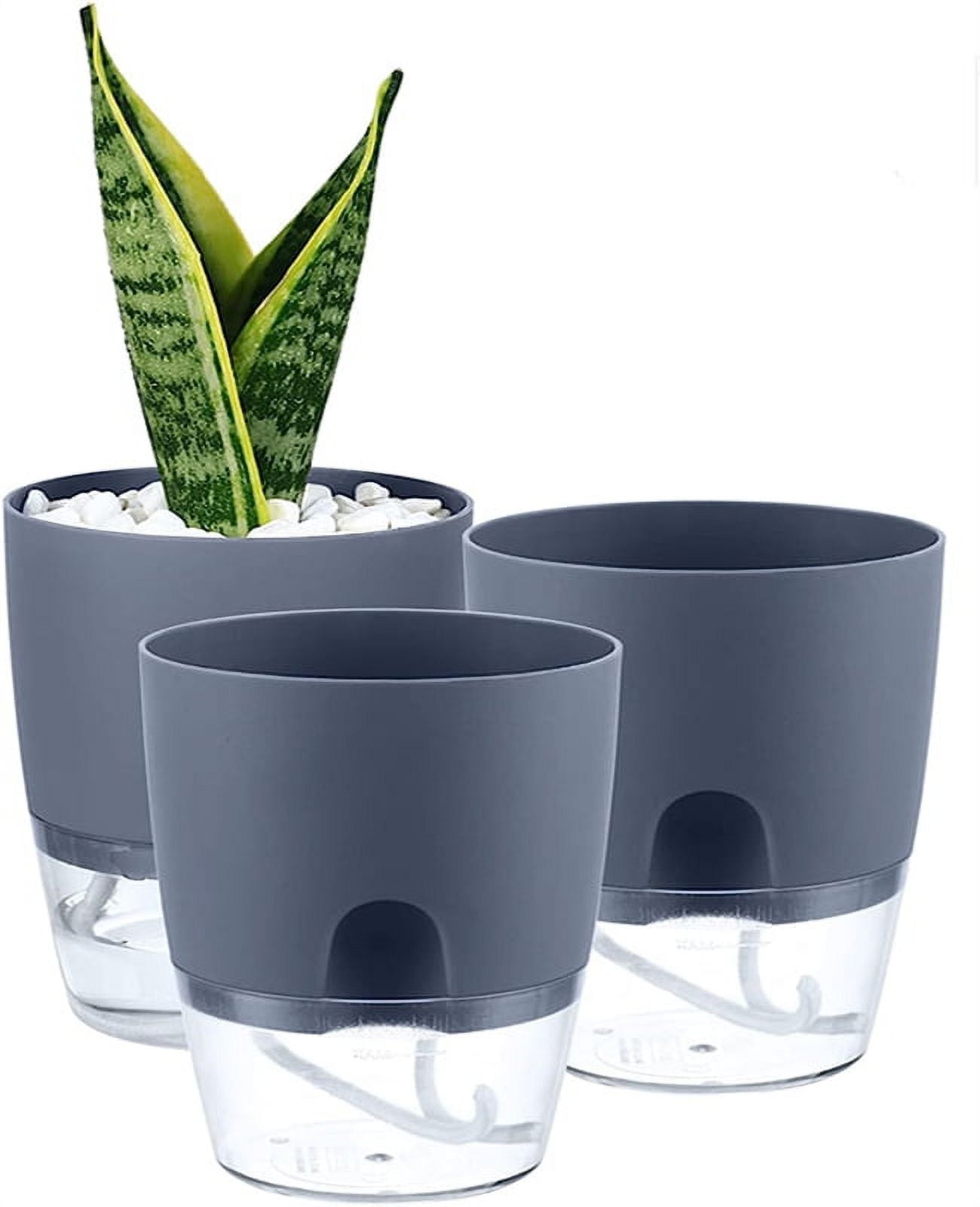 Tutuviw Self Watering Planter Pots, 3pk 6 Inch Transparent Indoor ...