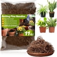 thumbnail image 1 of Tutuviw10oz Rotting Pine Needles Mulch for Orchid,Natural Mulch for Potted Plants,Premium Pine Needle Mulch for Garden Landscaping Orchid Potting Mix for Indoor Outdoor Potted Plants, 1 of 6