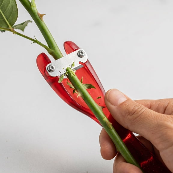 Tuvgenk Flower Stems Cutter 5.9 inch Pruner with 45 Degree Blade for Trimming Roses and Hydrangeas