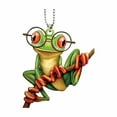 thumbnail image 1 of Tuvgenk Funny Frog Acrylic Keychain, Car & Backpack Pendant for Women & Men, Holiday & Party, 1 of 5