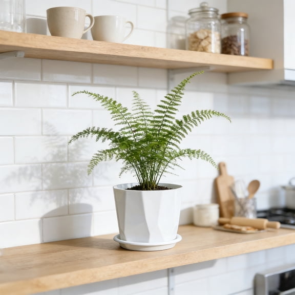Tuvgenk Green and White Two-Tone Minimalist Small Flower Pot, Irregular Geometric Shape with Tray (White)