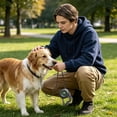 thumbnail image 1 of Tuvgenk Retractable Dog Leash Green, 10ft Nylon Tape for Small Medium Dogs, One Hand Brake Control with Shock Absorbing Strap for Walking Training, 1 of 6