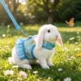 thumbnail image 1 of Tuvgenk Small Pet Harness and Leash Set Vest Style Breathable Mesh Rabbit Chest Strap for Guinea Pig Outdoor Walk S Blue, 1 of 7