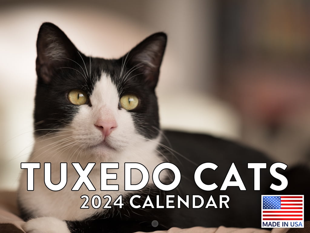 Tuxedo Cat Calendar 2024