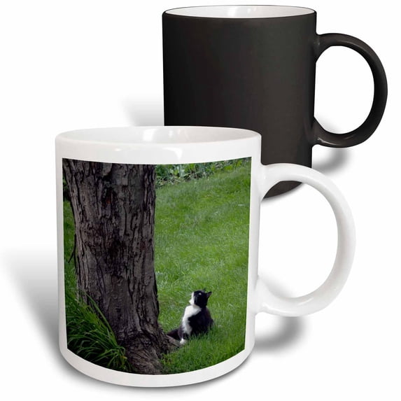 3drose, Tuxedo Cat Looking Up a Tree, 11oz Magic Transforming Mug