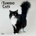 thumbnail image 1 of BrownTrout, Tuxedo Cats 2025 Wall Calendar, 1 of 4