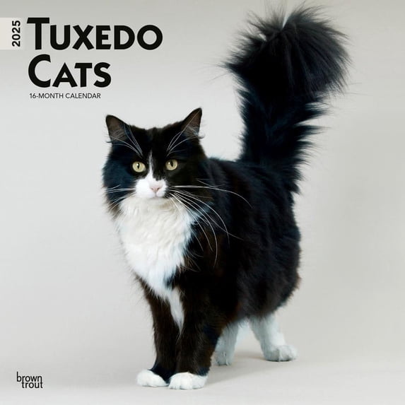 BrownTrout, Tuxedo Cats 2025 Wall Calendar