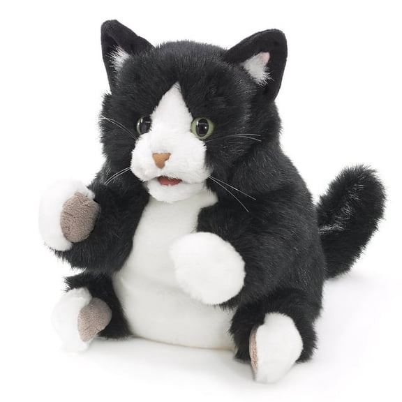 Tuxedo Kitten (Other)