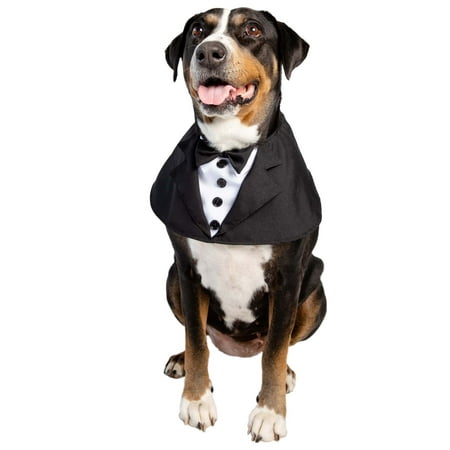 Halloween Tuxedo Pet Costume - Small/Medium