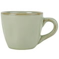 thumbnail image 1 of Tuxton Artisan Sagebrush Reactive Natural 3-1/2-Ounce Espresso Cup, Case of 24, Green; Scratch Resistant; Chip Resistant; Lead & Cadmium Free; Dishwasher, Microwave, Oven Safe, 1 of 1