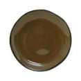 thumbnail image 1 of Tuxton GAA-006 Vitrified China Plate Agave - 10.25 in. - 1 Dozen, 1 of 1