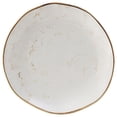 thumbnail image 1 of Tuxton  Geode Agave Plate, Island Blue, 1 of 1