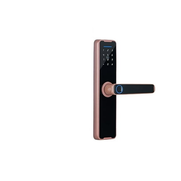 Tuya Bluethooth Biometric Fingerprint Electronic Lock RFID Card Remote Unlocking Smart Door Lock ,Integrated Smart Home