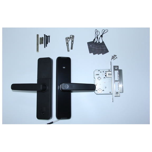 Tuya Bluethooth Biometric Fingerprint Electronic Lock RFID Card Remote Unlocking Smart Door Lock ,More Secure