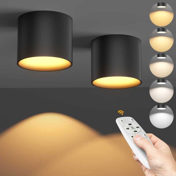 TuyuBEE Remote Control Ceiling Spotlight Fixtures Flush Mount Ceiling Light Fixture Dimmable LED Spot Lights Indoor, 4.72" Cylinder Downlight for Hallway Kitchen Entryway Foyer, 20W Black 2 Pack