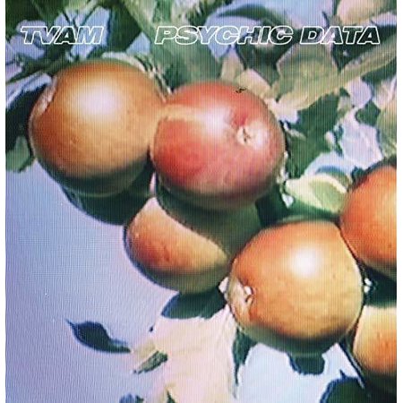 Tvam - Psychic Data - Vinyl