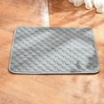 thumbnail image 1 of Tvtnvo Dog Mat Pet Urinary Training Mat for Dogs and Pets Instant Water Absorption Machine Washable Protector with Slip Grip Dots Stain and Tear Resistant Sofa Cage Liner Gray 17.7x23.6in, 1 of 5
