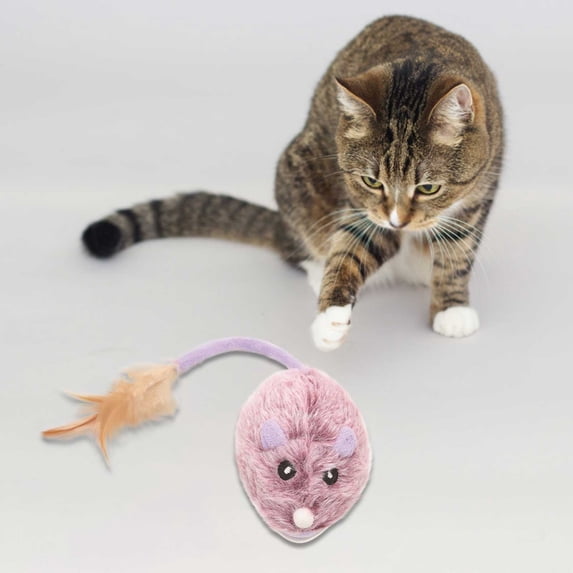 Tvtnvo Interactive Pet Toy Motorized Mouse Self Play Teaser Rechargeable Automatic Random Movement Remote Control Touch Activated for Indoor Exercise and Hunting Instincts Purple 3.5in