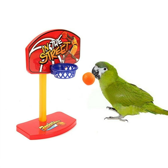 Tvtnvo Parrot Toys Interactive Basketball with Chewable Balls Intelligence Training Mental Stimulation Cage Activity for Medium Small Birds Multicolor 4.7x2.9x7.9in