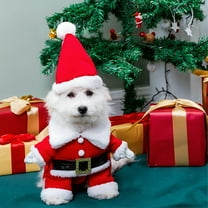 Tvtnvo Pet Christmas Costume,Dog Clothes Pet Clothes Santa Outfit,Cozy Velvet Dress for Small Medium Large Dogs Pets,Festive Holiday Apparel Keeps Pets Warm and Stylish in Winter Red