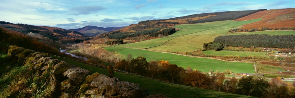 Tweed Valley by Thornilee Plantation in the Scottish Borders Scotland Canvas Art - Panoramic Images (27 x 9)