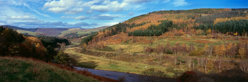 Tweed Valley by Thornilee Plantation in the Scottish Borders Scotland Canvas Art - Panoramic Images (36 x 12)