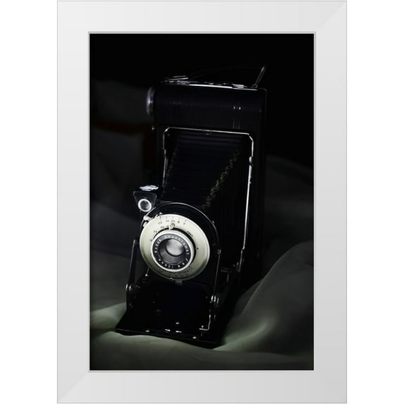Tweeddale, Brynn 11x14 White Modern Wood Framed Museum Art Print Titled - The Camera