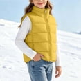 thumbnail image 1 of Tween Girl Puffer Vest Kids Stand Collar Full Zip Sleeveless Quilted Padded Gilet Warm Fall Winter Outerwear Waistcoat with Pockets for Girls, 1 of 7