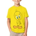 thumbnail image 1 of Tweety Bird T-Shirts for Boys Girls, Kids 3D Print Short Sleeve, Unisex Crew Neck Tee Shirts for Youth, 1 of 9