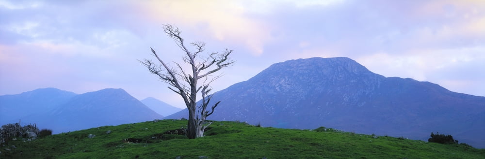 Twelve Bens Connemara Co Galway Ireland Canvas Art - The Irish Image Collection Design Pics (34 x 11)