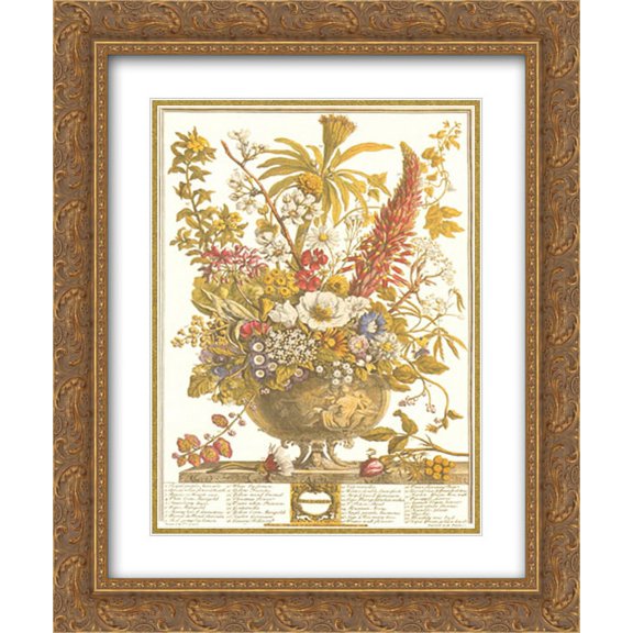 Twelve Months of Flowers, 1730/December 2x Matted 13x16 Gold Ornate Framed Art Print by Robert Furber