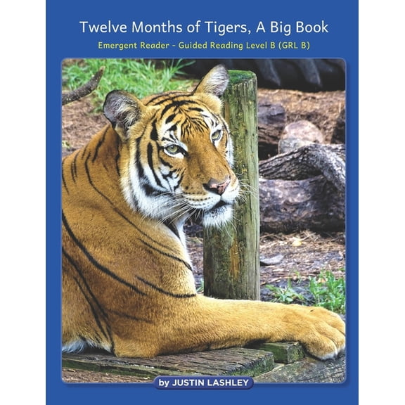 Twelve Months of Tigers, A Big Book : Emergent Reader - Guided Reading Level B (GRL B) (Paperback)