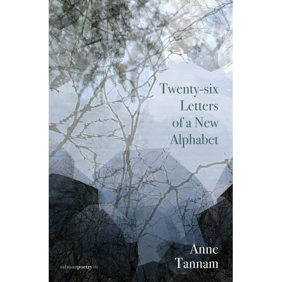Twenty-Six Letters of a New Alphabet (Paperback)